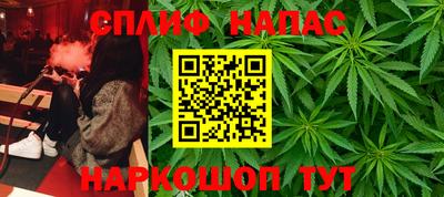 ГАЛЛЮЦИНОГЕННЫЕ ГРИБЫ Гусь-Хрустальный