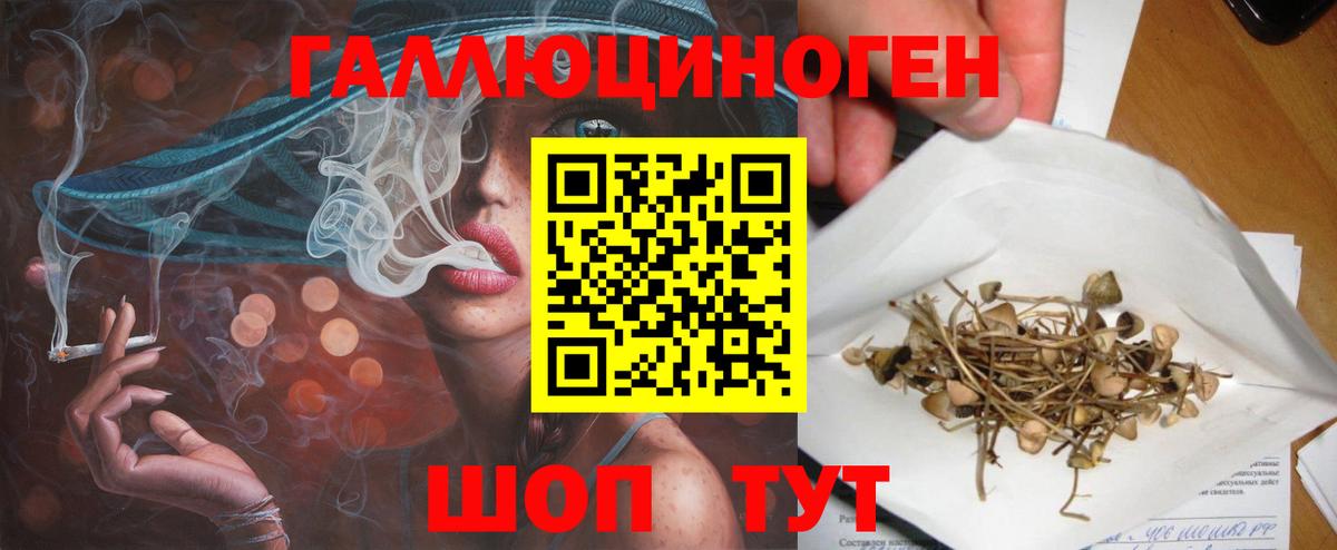 Галлюциногенные грибы Psilocybe  Вход с VPN  Джанкой 